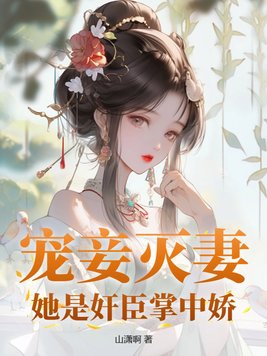 宠妾灭妻文